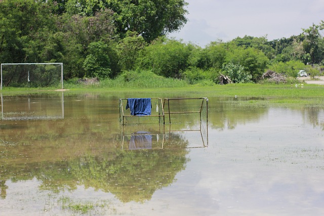 如果哈拉爾 如果哈拉爾