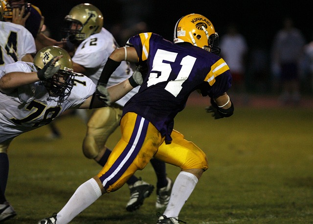 高质量发展 高质量发展