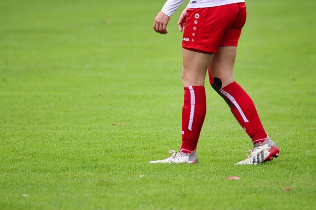 環境以及球 環境以及球